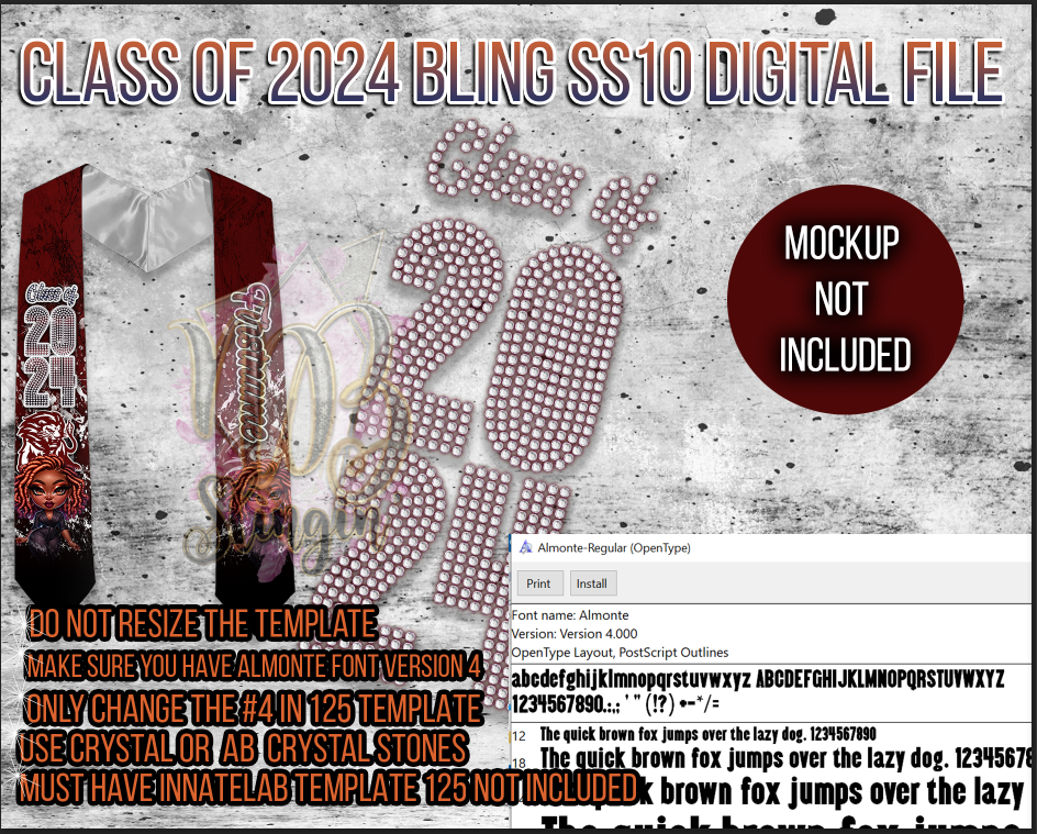 CLASS OF 2024 SS10 RHINESTONE DIGITAL FILE