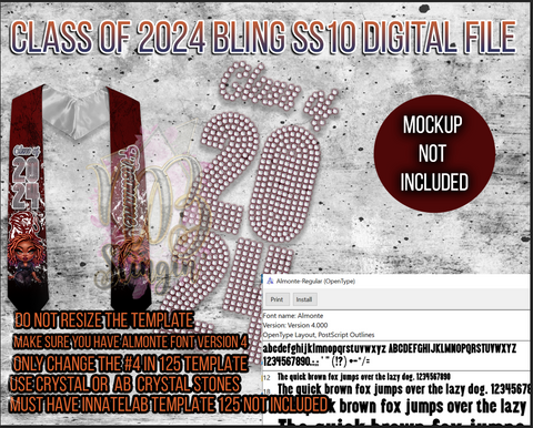CLASS OF 2024 SS10 RHINESTONE DIGITAL FILE