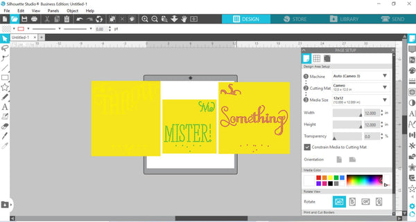 THROW ME SOMETHING MISTER SS10 RHINESTONE DIGITAL FILE